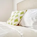 Grand Two Bedroom Two Bathroom Apartment With Balcony