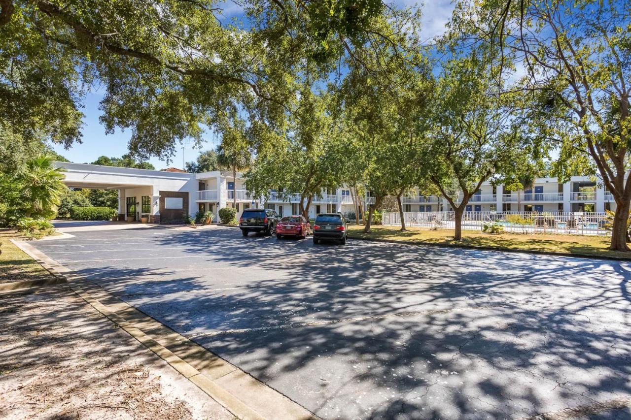 6 Gainesville, Fl Gainesville