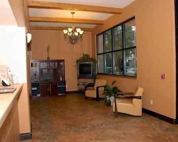 6-gainesville, Fl 2*