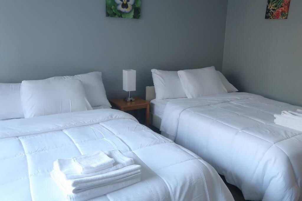 Cozy For 6 Near Shands & Uf Campus *