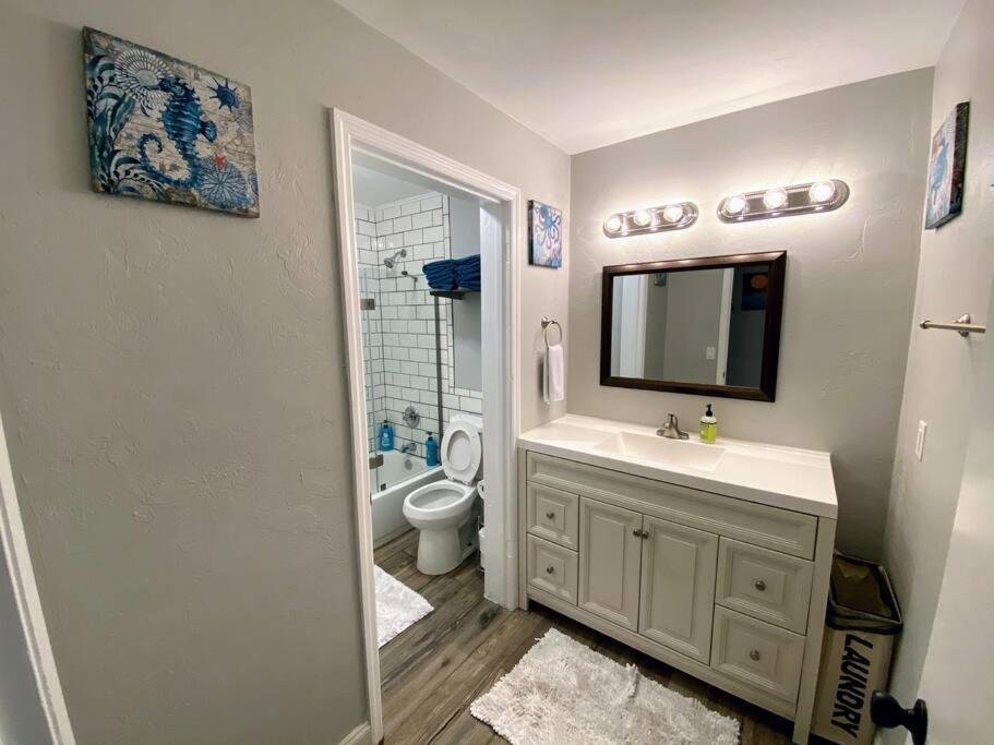 Apartment Cute Downtown By Depot Park