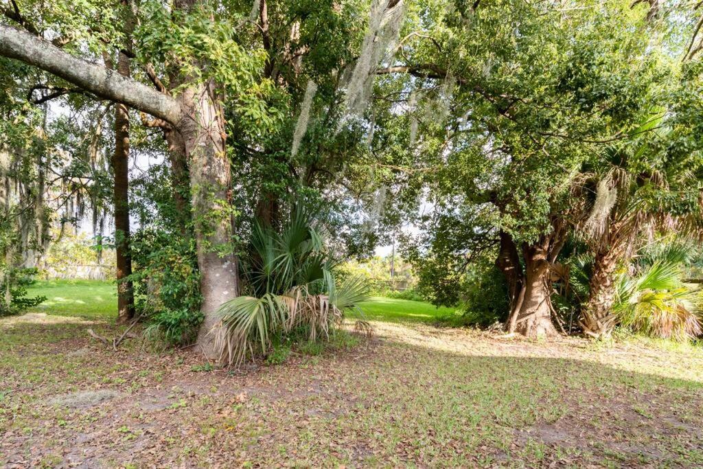 Cute Downtown By Depot Park Apartment Gainesville