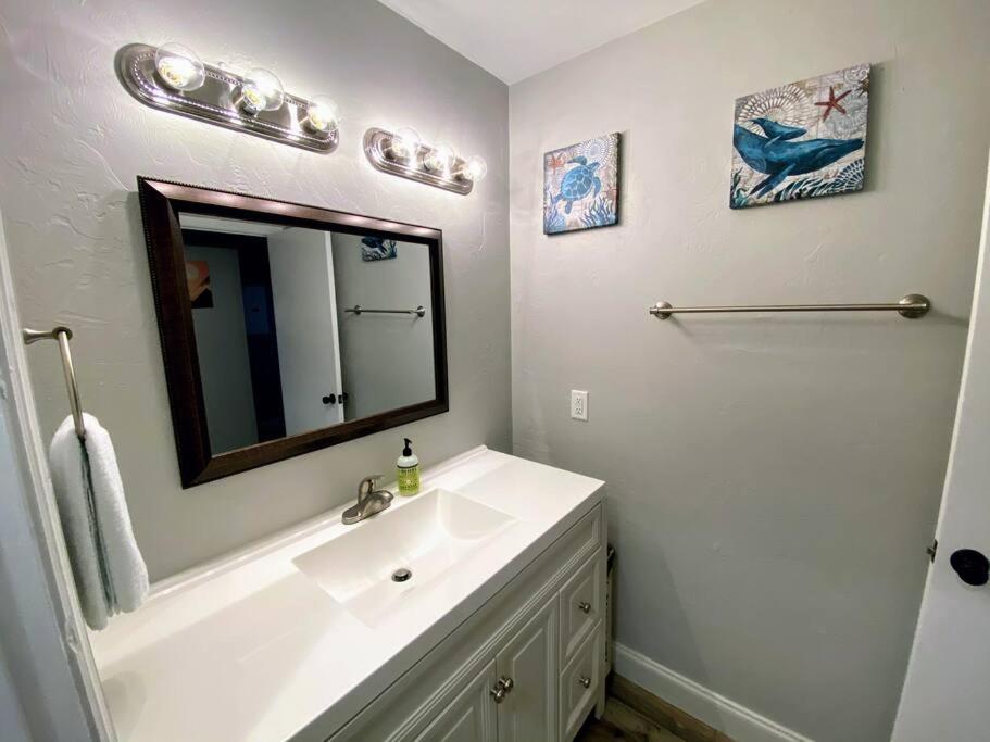 Apartment Cute Downtown By Depot Park Gainesville