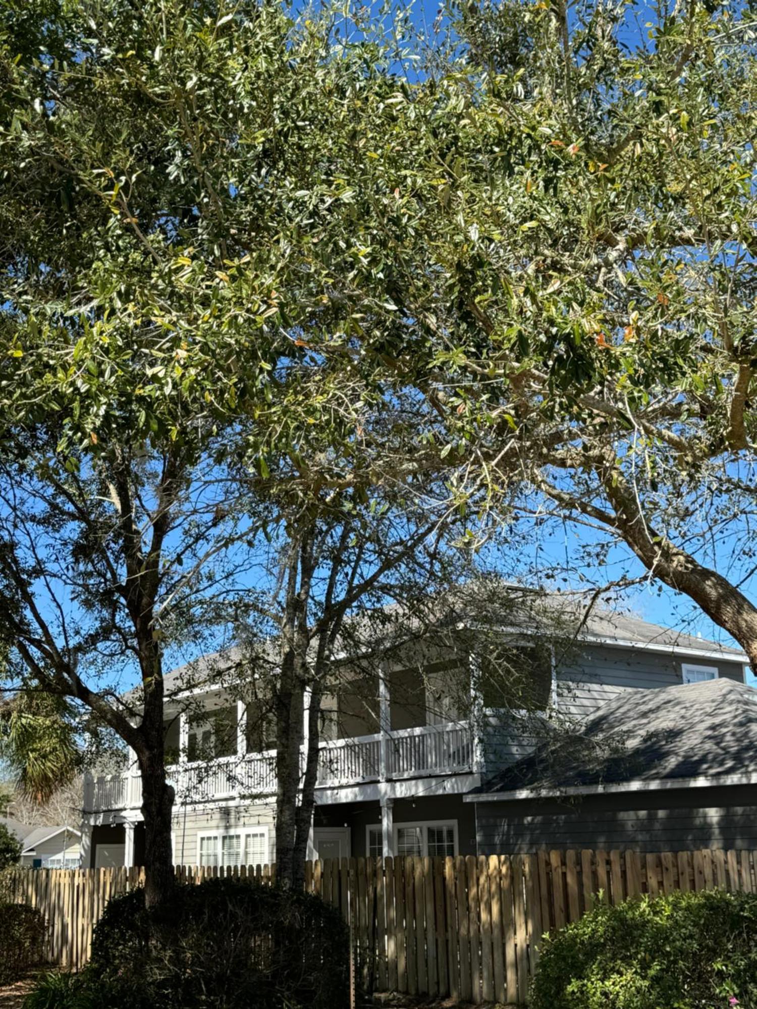 House With Style And Huge Balcony Gainesville