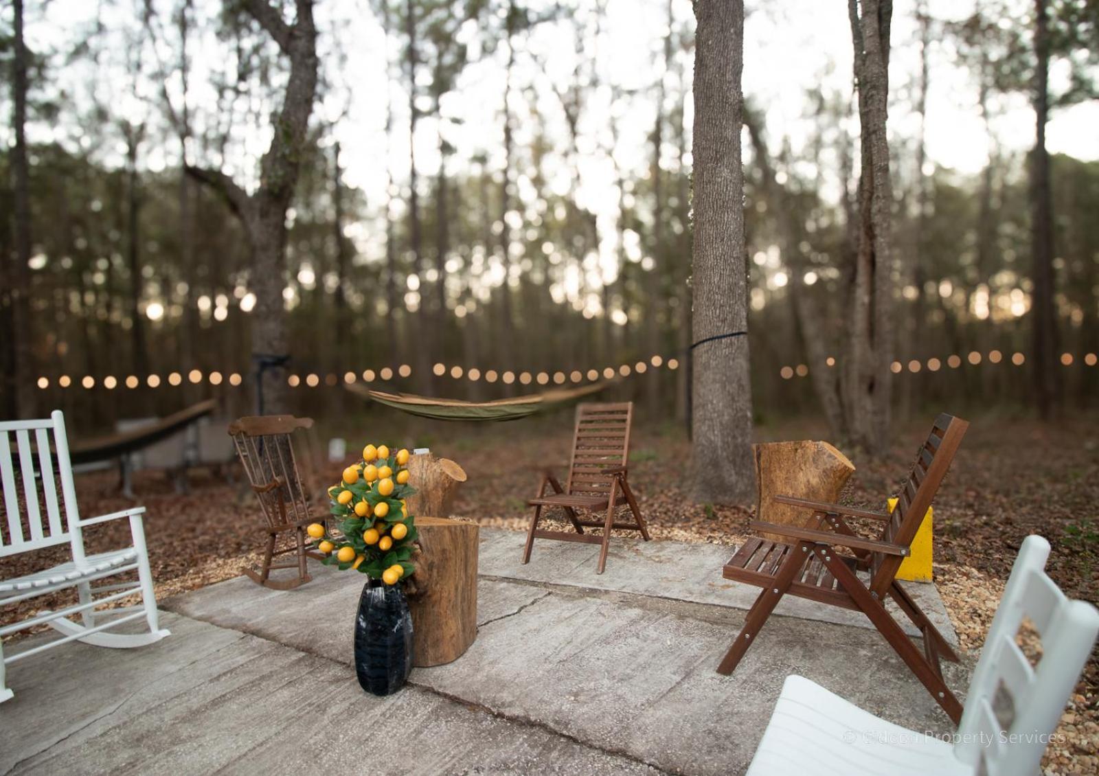 3/2 Uf Wooded Paradise Retreat Gainesville