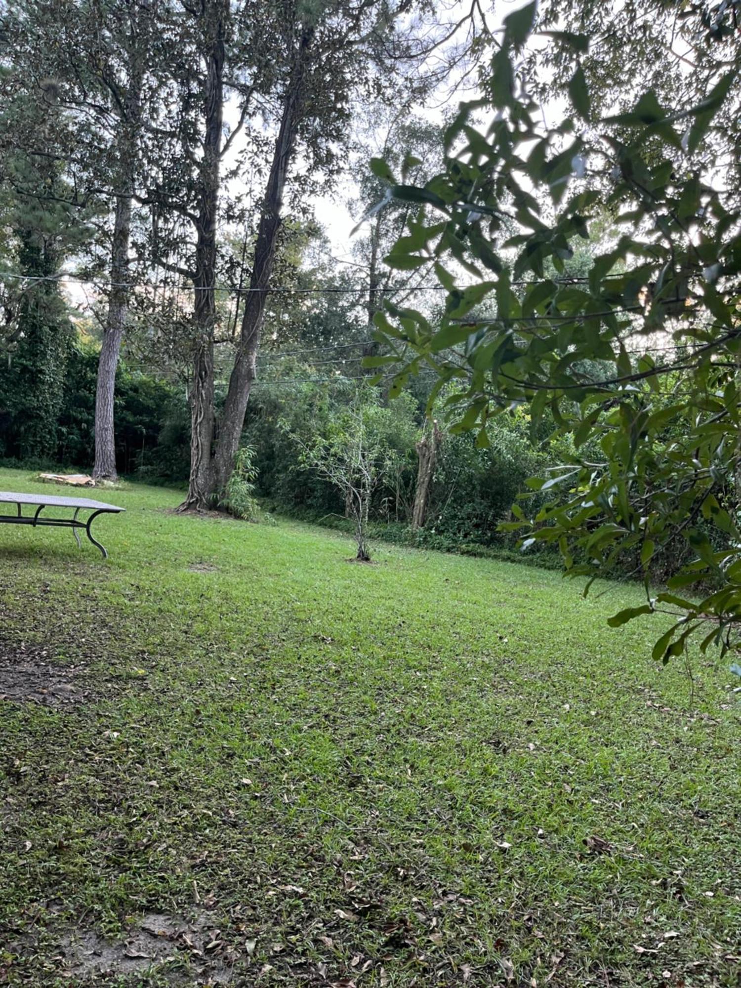 New Renovated Peaceful Mile To Uf Holiday home Gainesville