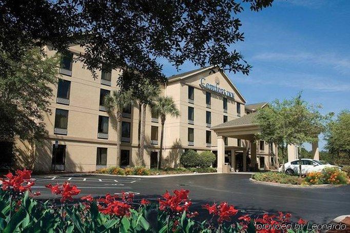 Comfort Gainesville