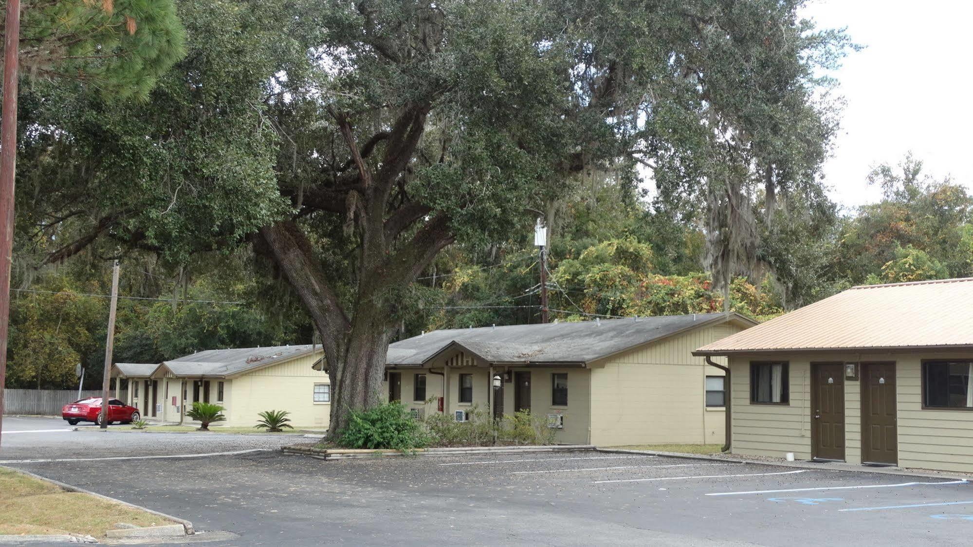 Budget - Gainesville