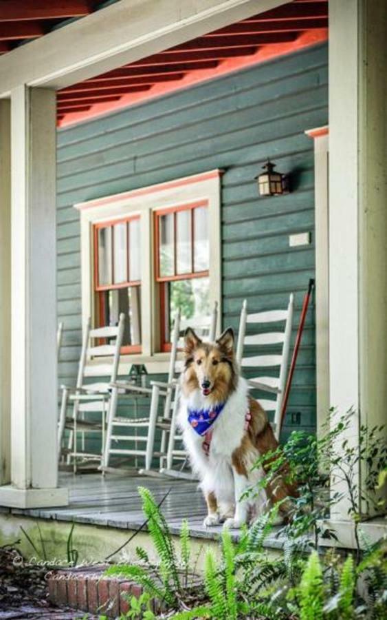 Magnolia Plantation & Gainesville