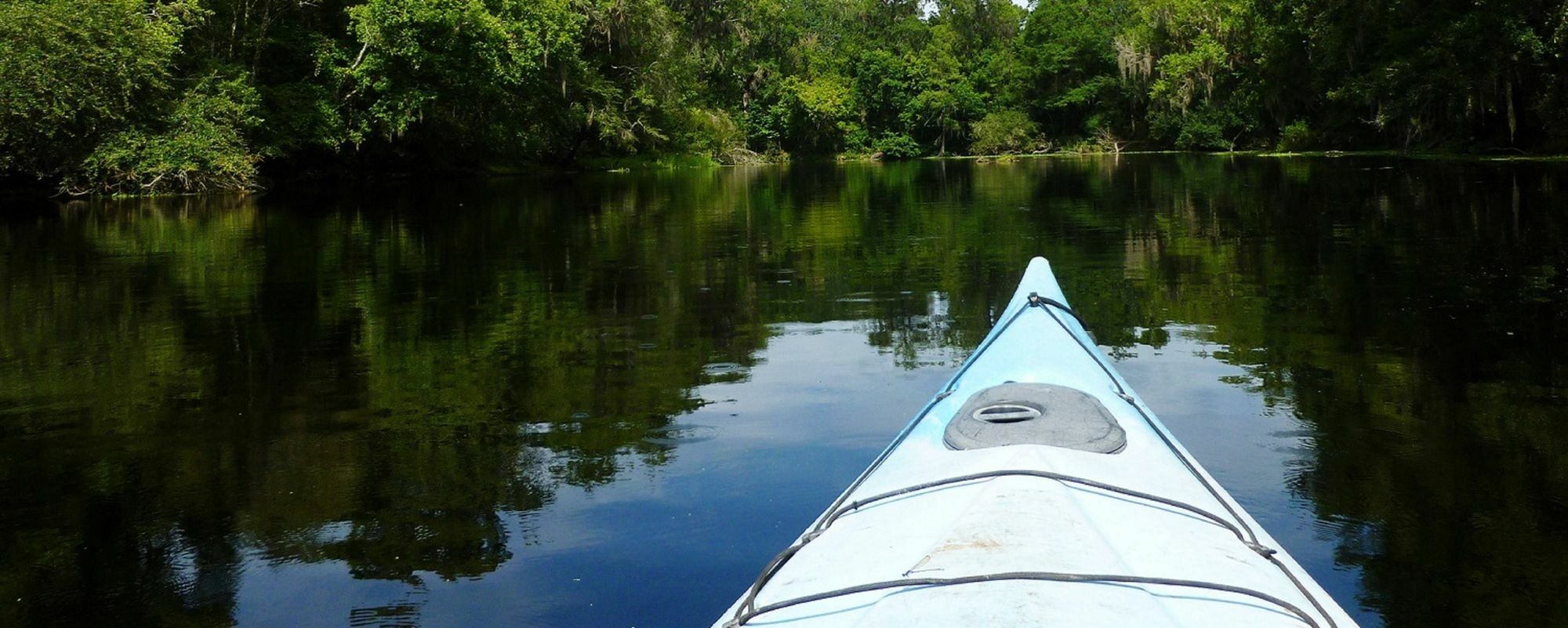 Sweetwater Branch Gainesville