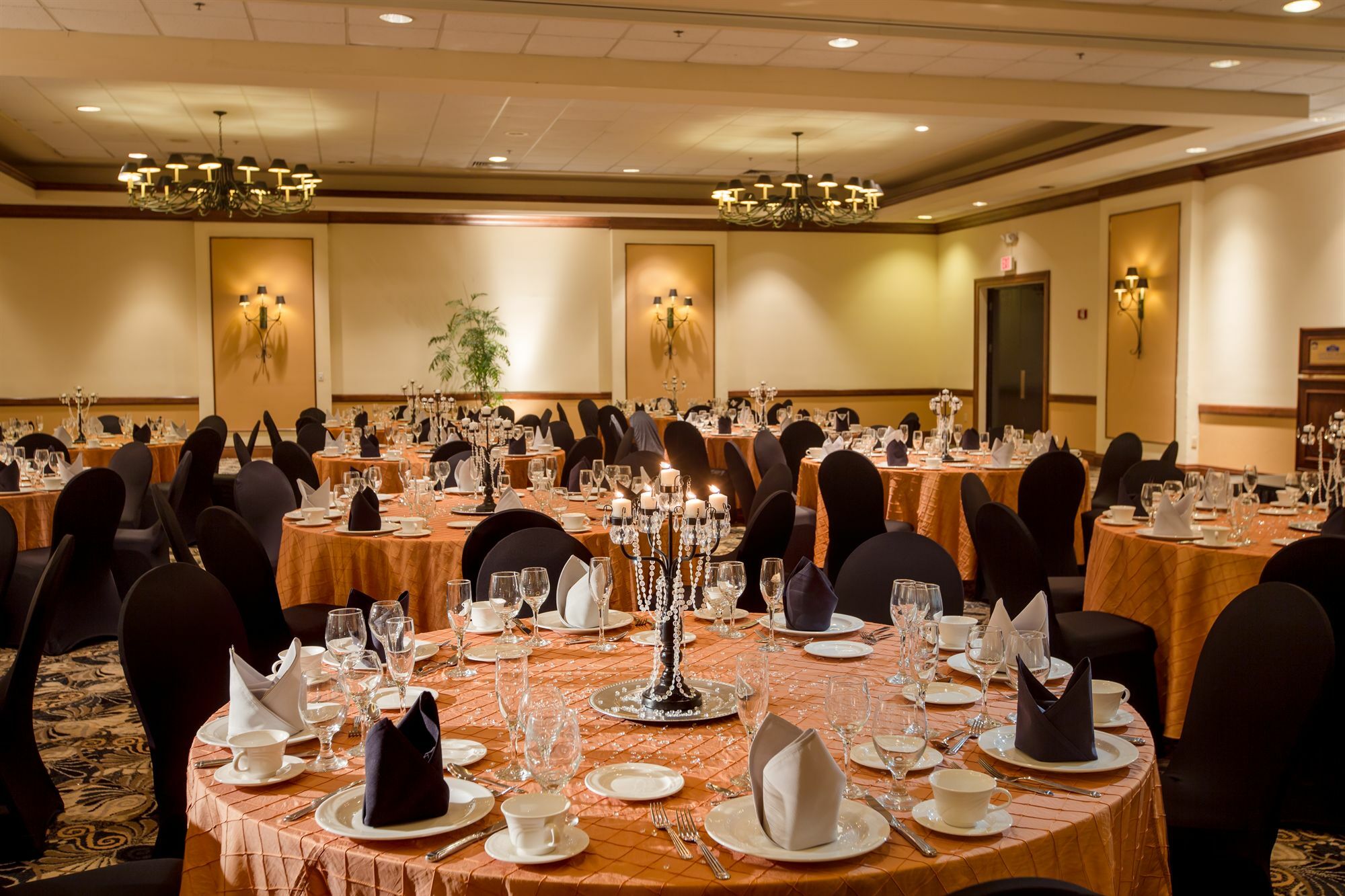 Western Gateway Grand Hotel Gainesville