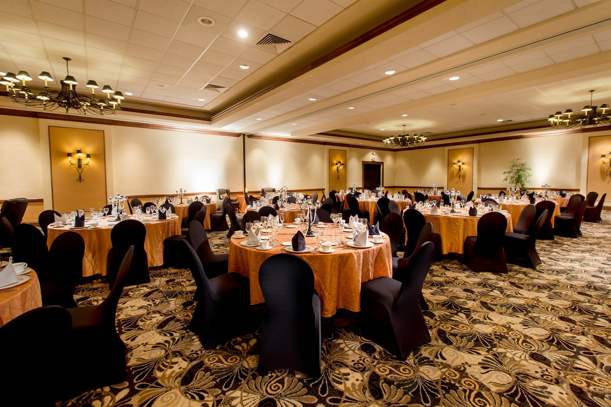 Western Gateway Grand Hotel Gainesville