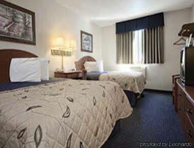 Super-8-gainesville-i-75-hospital-university-area Motel