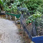 The Garden House Gainesville