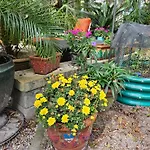The Garden House Gainesville