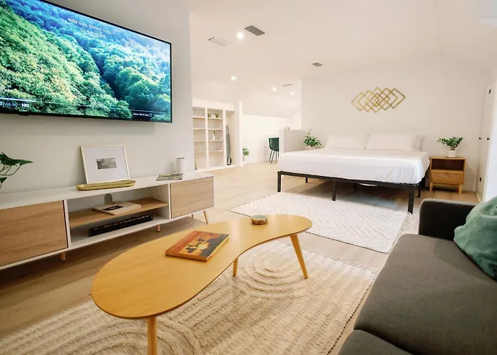 The Key Reno\'D Historic Studio 1 Mile To Uf & Dt