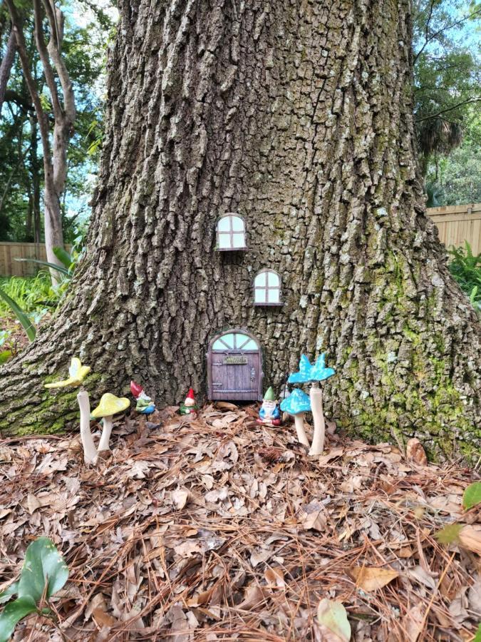Apartment Cozy Hideaway In The Duck Pond Area Of Gainesville