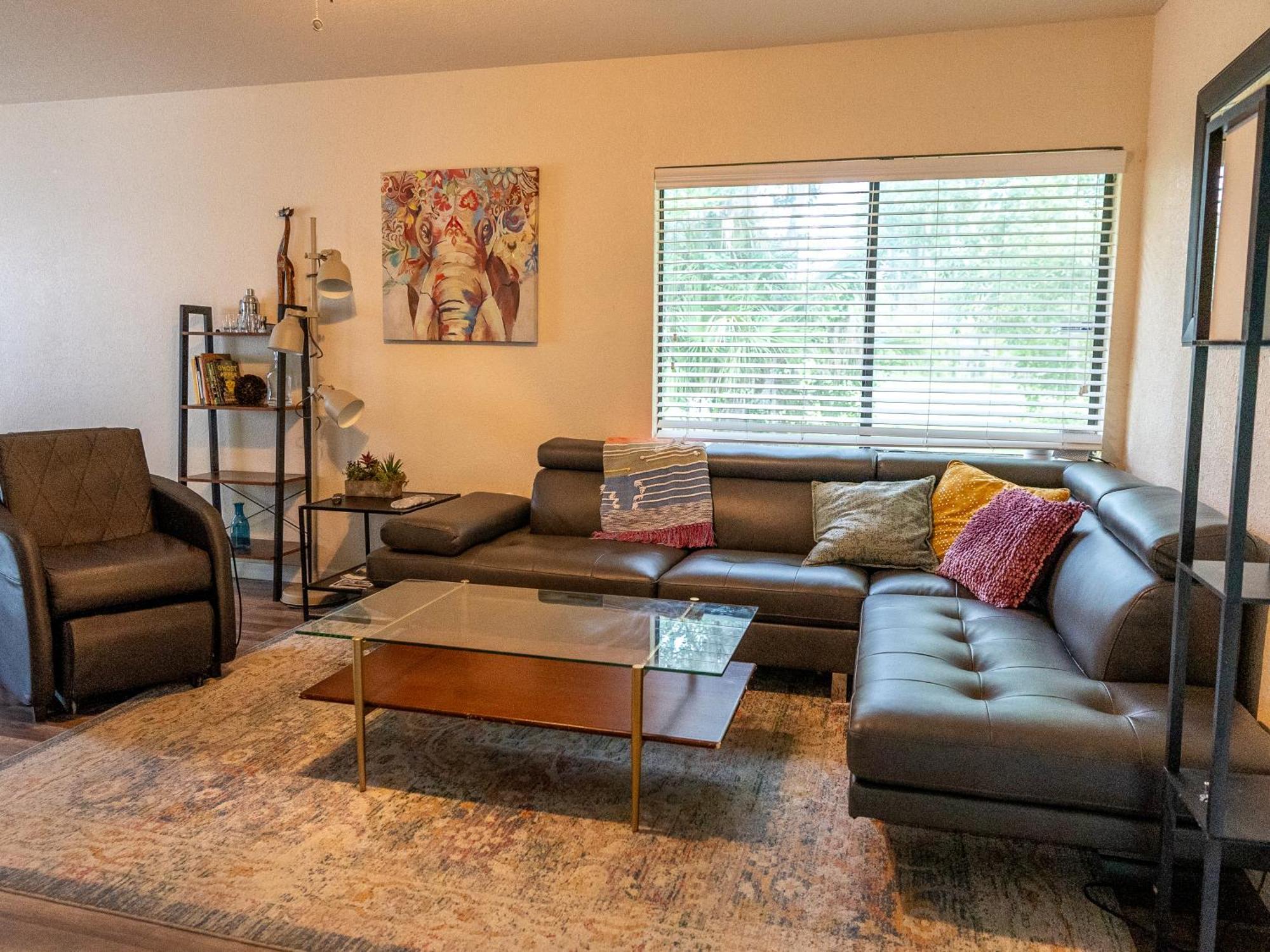 Apartment Cute W/ Massage Chair And Wifi Gainesville