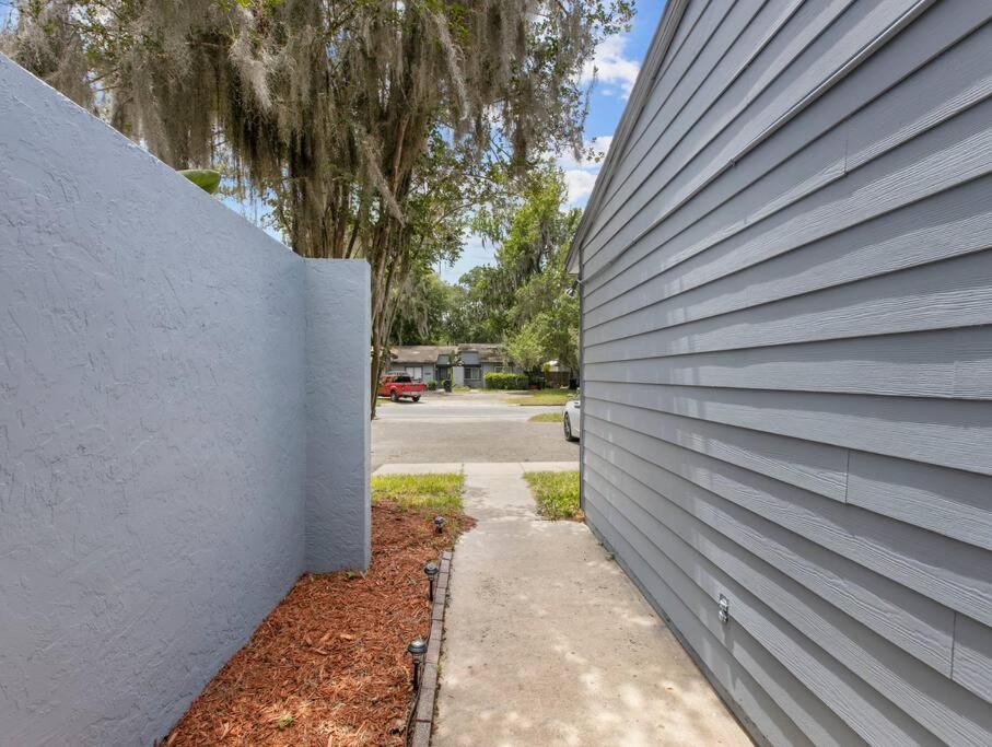 Spacious Pet Friendly Ping Pong Table * Gainesville