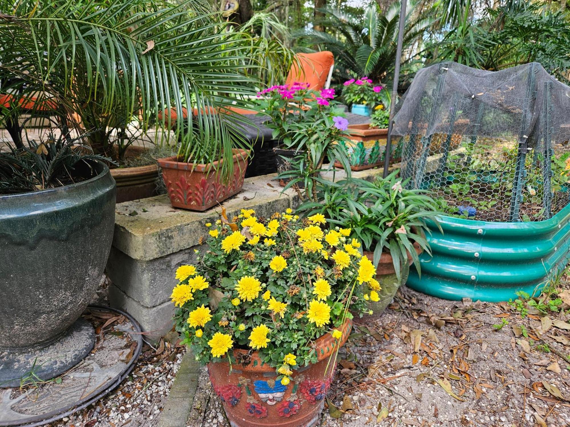 The Garden House *