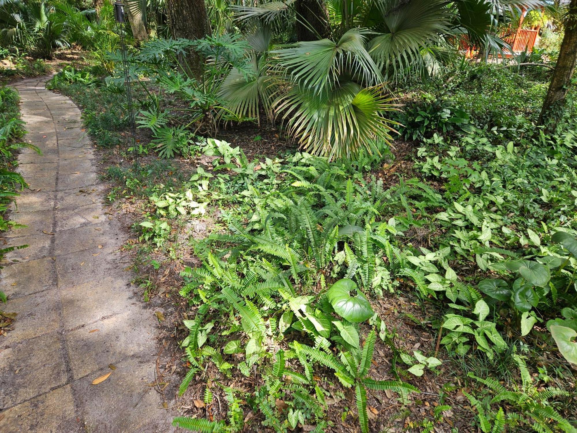 The Garden House Guest house Gainesville